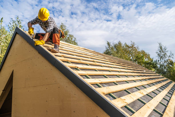 Best Roof Waterproofing Services  in Borger, TX