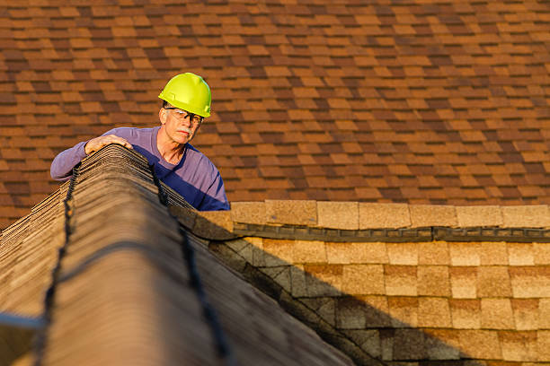 Best Roof Inspection Near Me  in Borger, TX