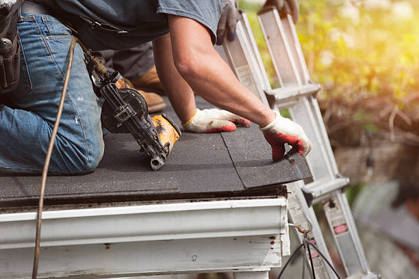 Best Local Roofing Companies  in Borger, TX